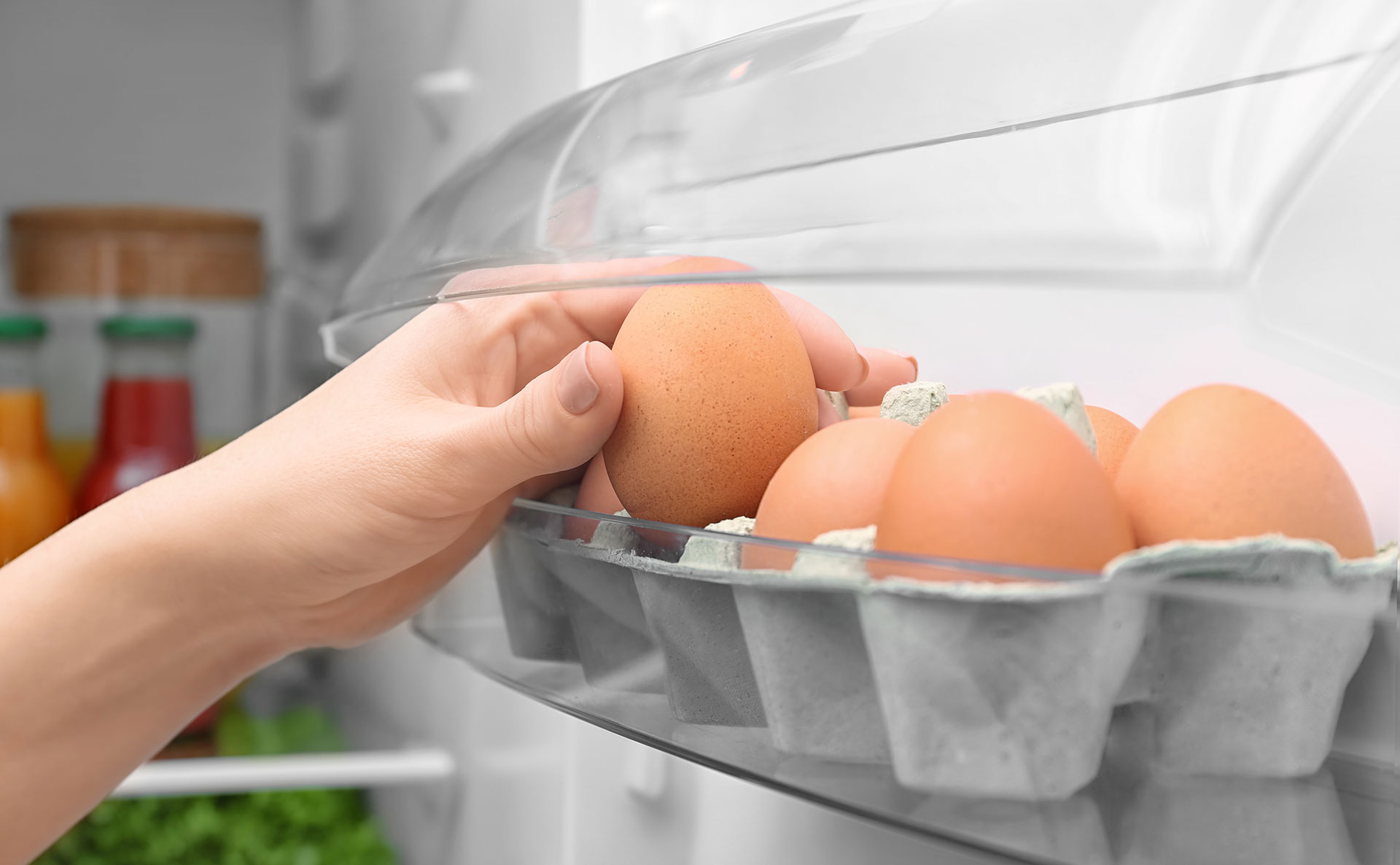 how to store food in the fridge