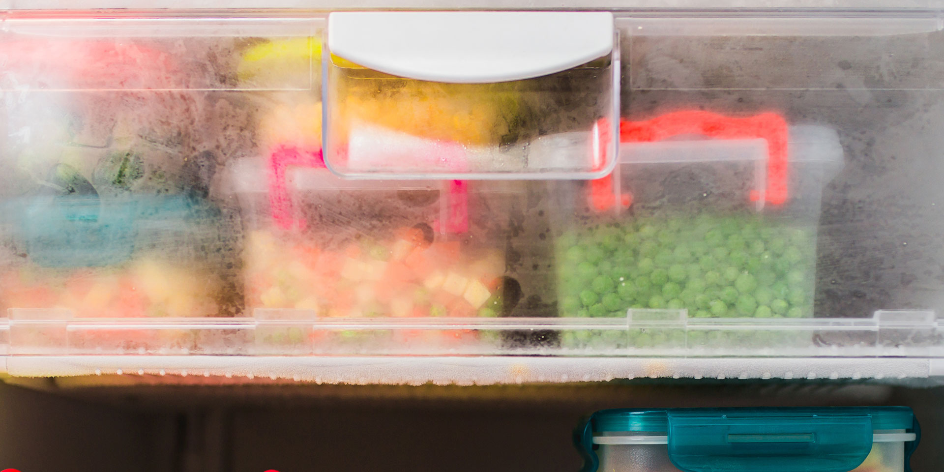 frozen peas and vegetables in the freezer