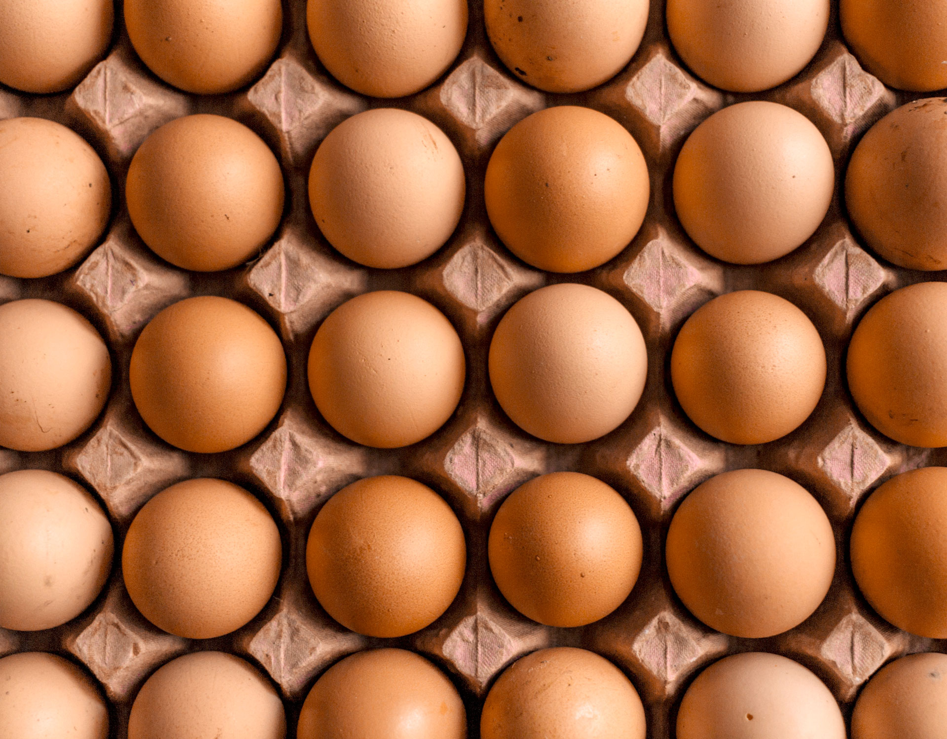 Eggs