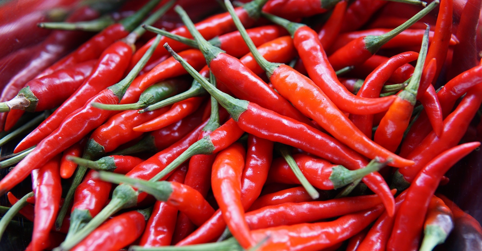 red chile peppers