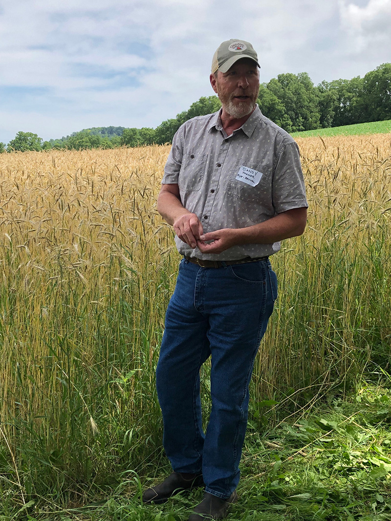 Sandy Syberg in front of rye field