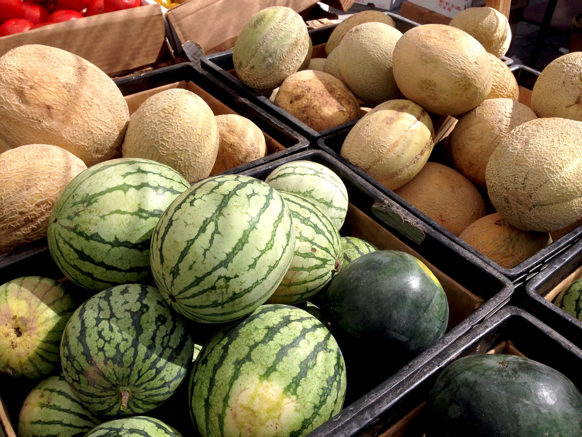 variety of melons at the farmer's market